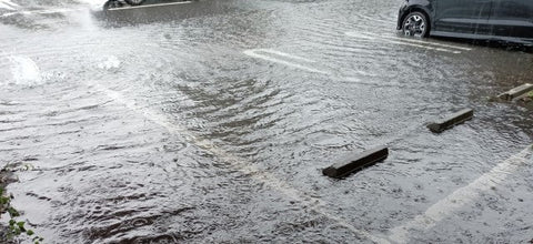 [IMPORTANT] ◆Delivery delays due to heavy rain