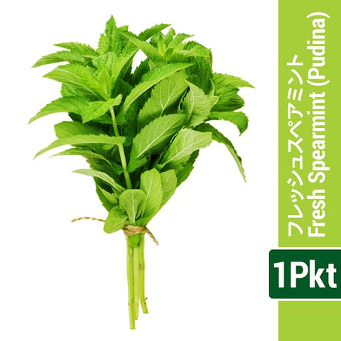 フレッシュ スペアミント 1Pkt　ハッカ　ハーブ　プディナ