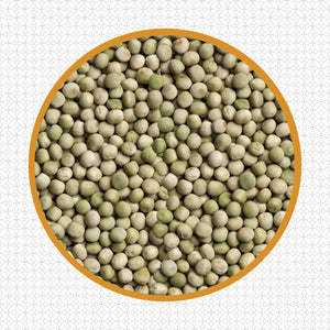 【アンビカ】グリーンピースドライ1kg エンドウ豆